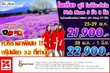 ทัวร์ญี่ปุ่น โตเกียว Fuji Pink Moss 5 วัน 3 คืน โดยแอร์เอเชีย Xฃ